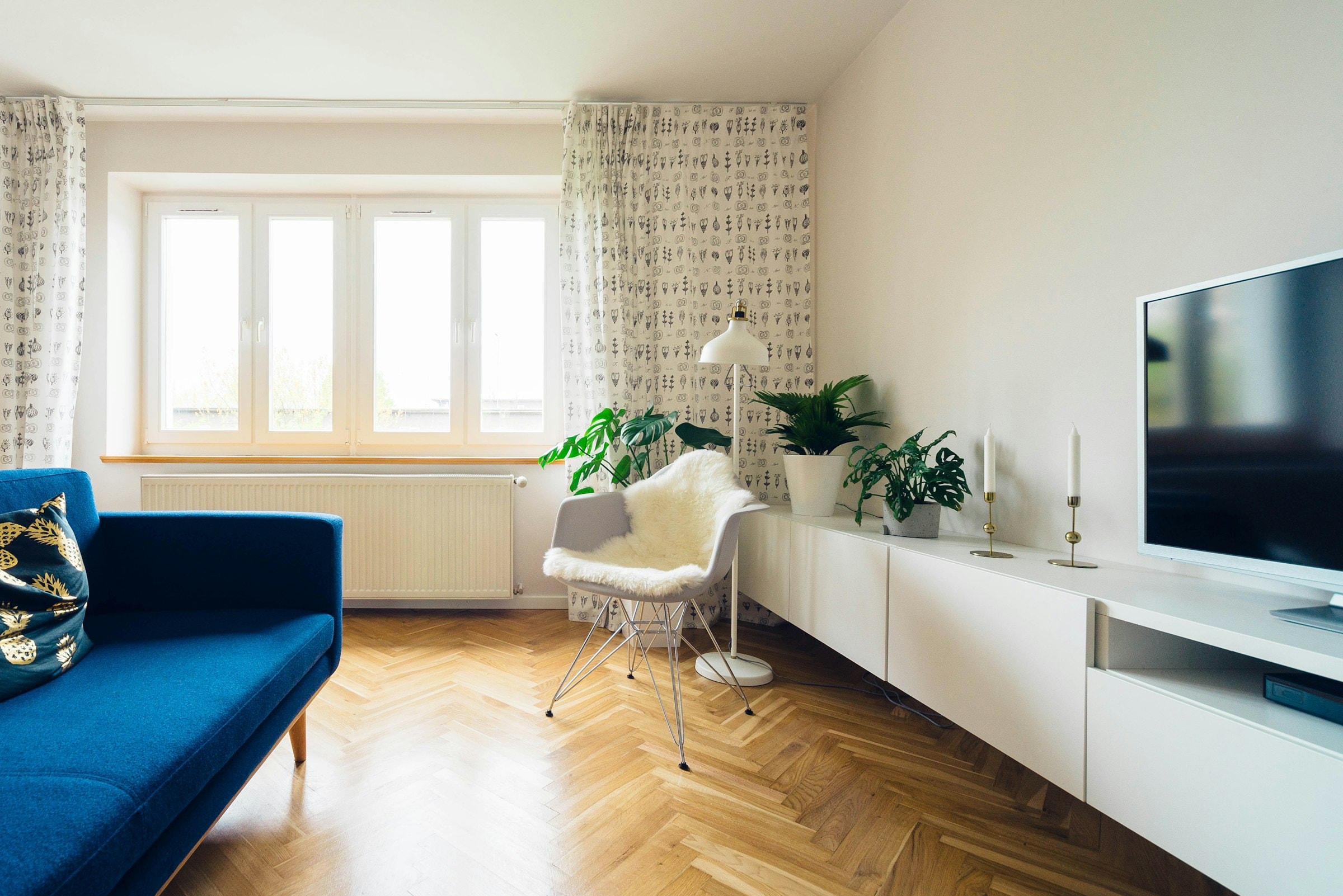 A luminous interior with planting